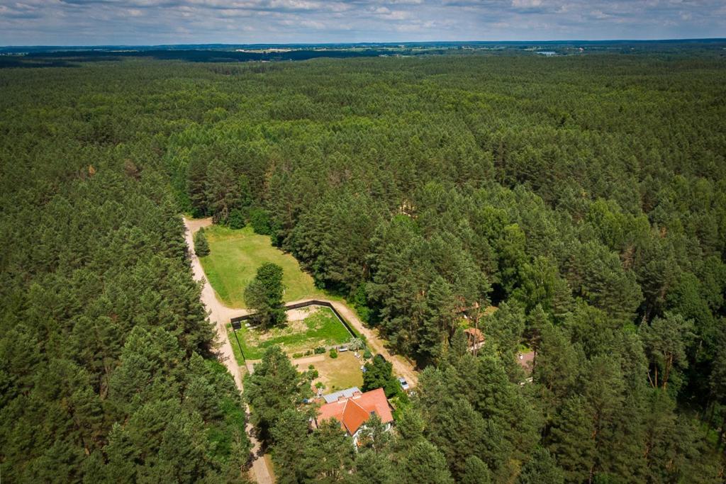 Bed and Breakfast Mazurska Lesniczowka Nowy Zyzdroj Exterior foto